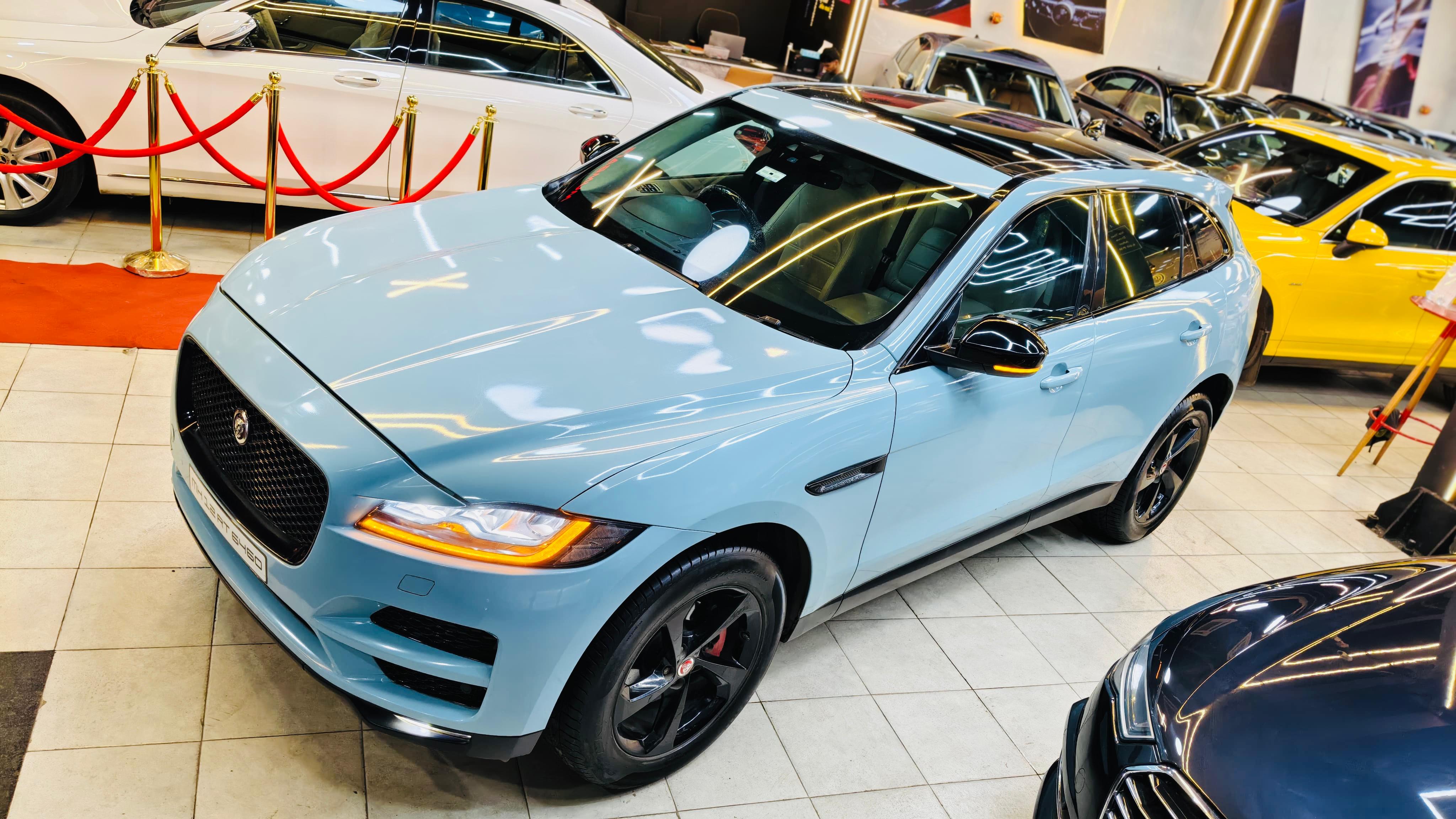 Luxury Cars
