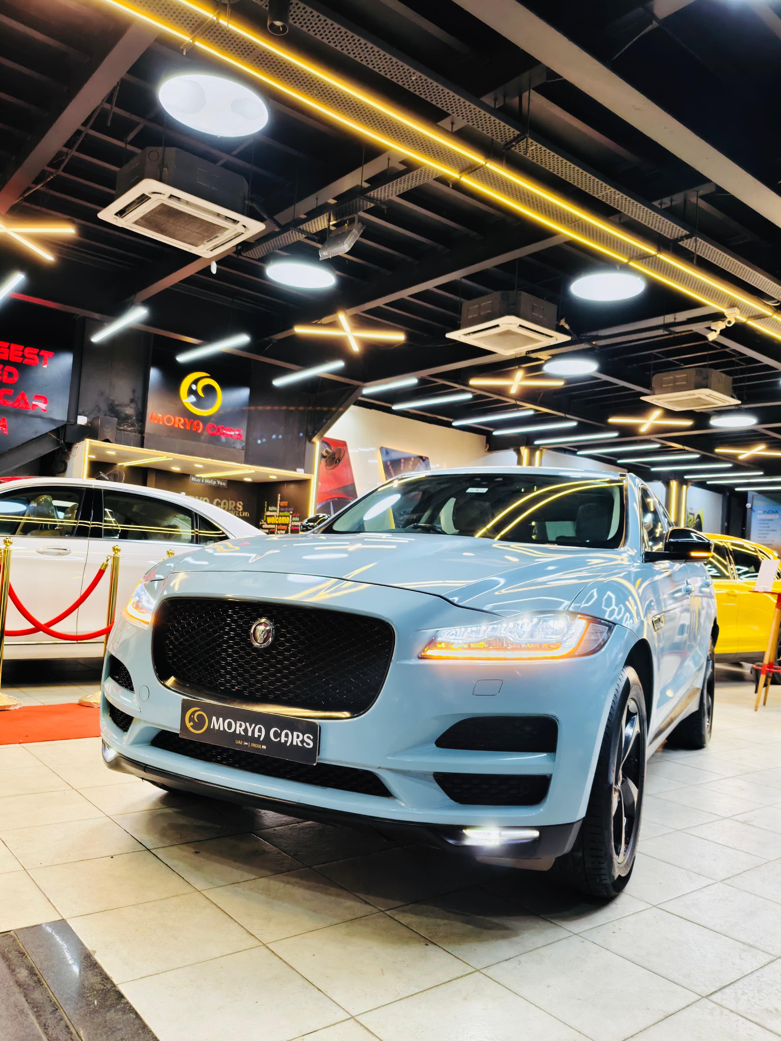 Luxury Cars