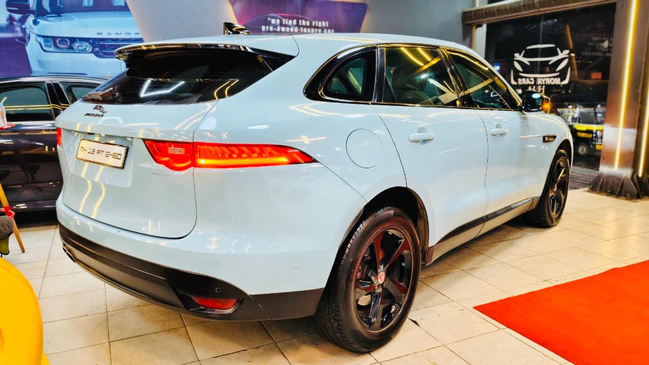 Luxury Cars