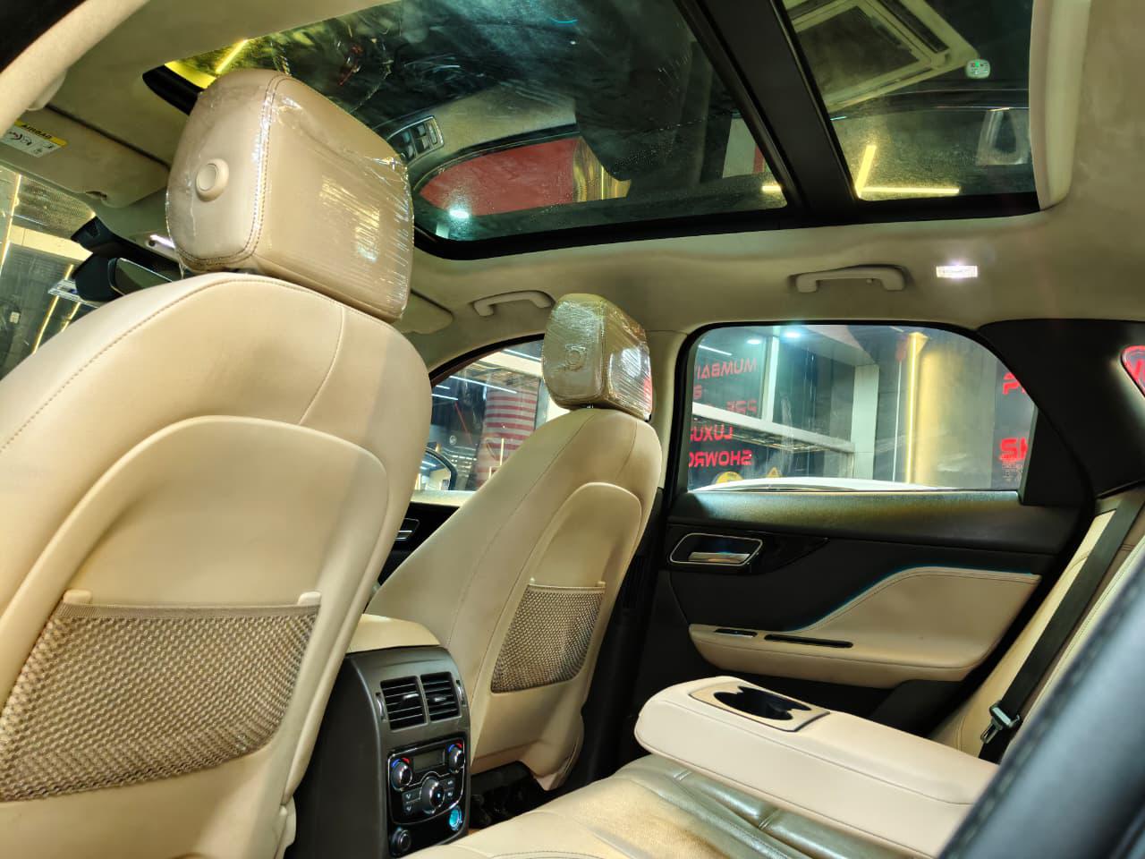 Luxury Cars