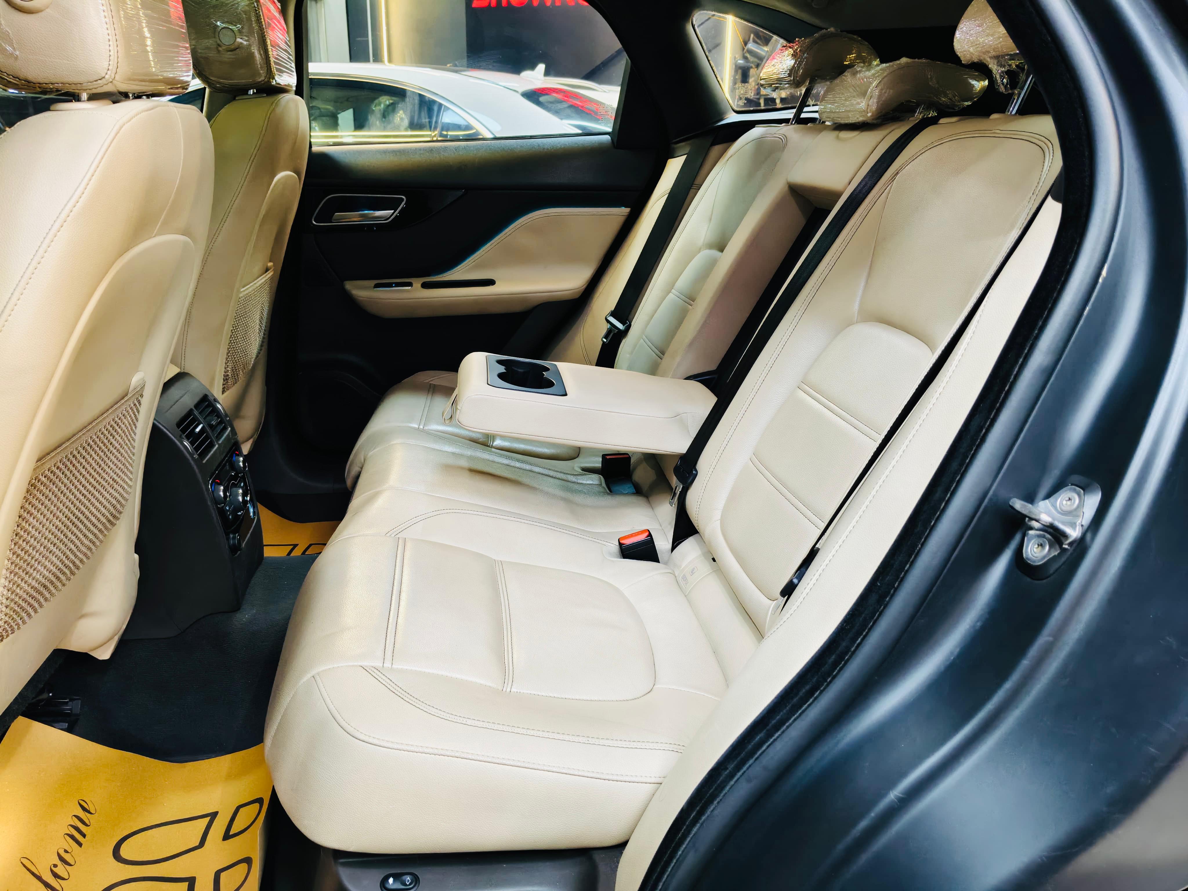 Luxury Cars