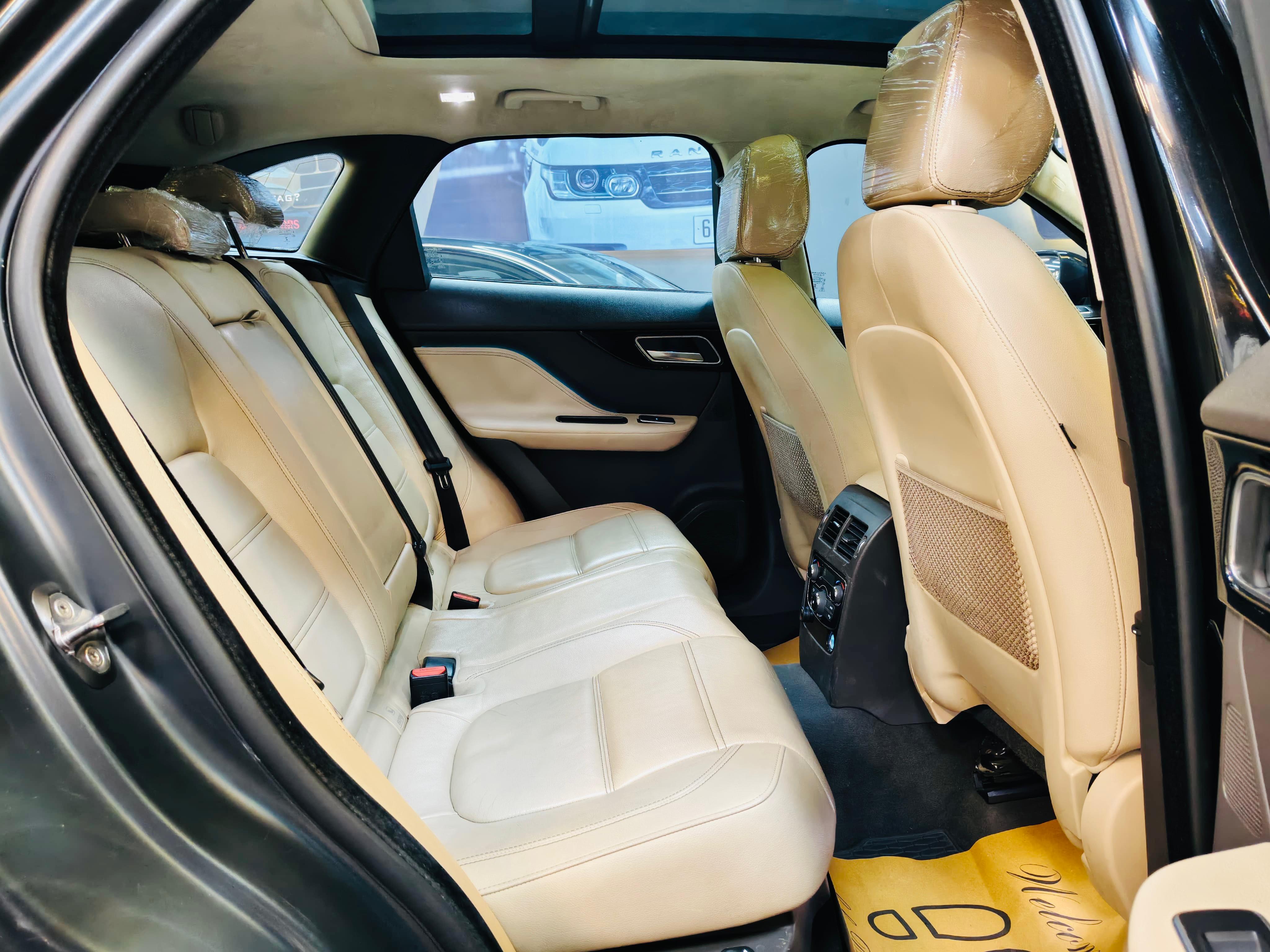 Luxury Cars