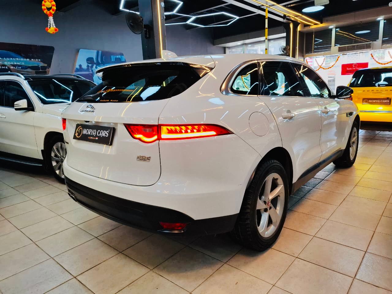 Luxury Cars
