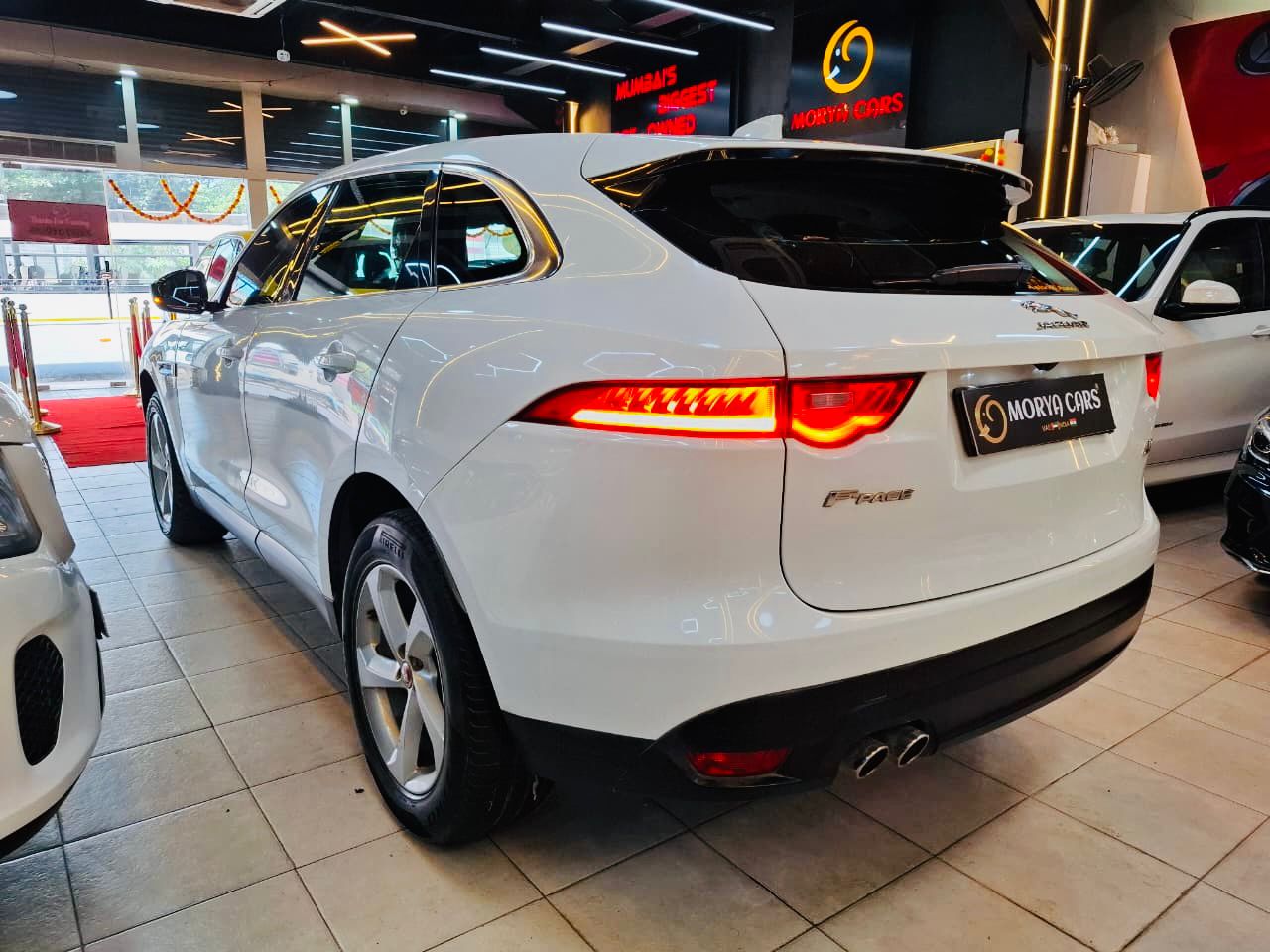 Luxury Cars