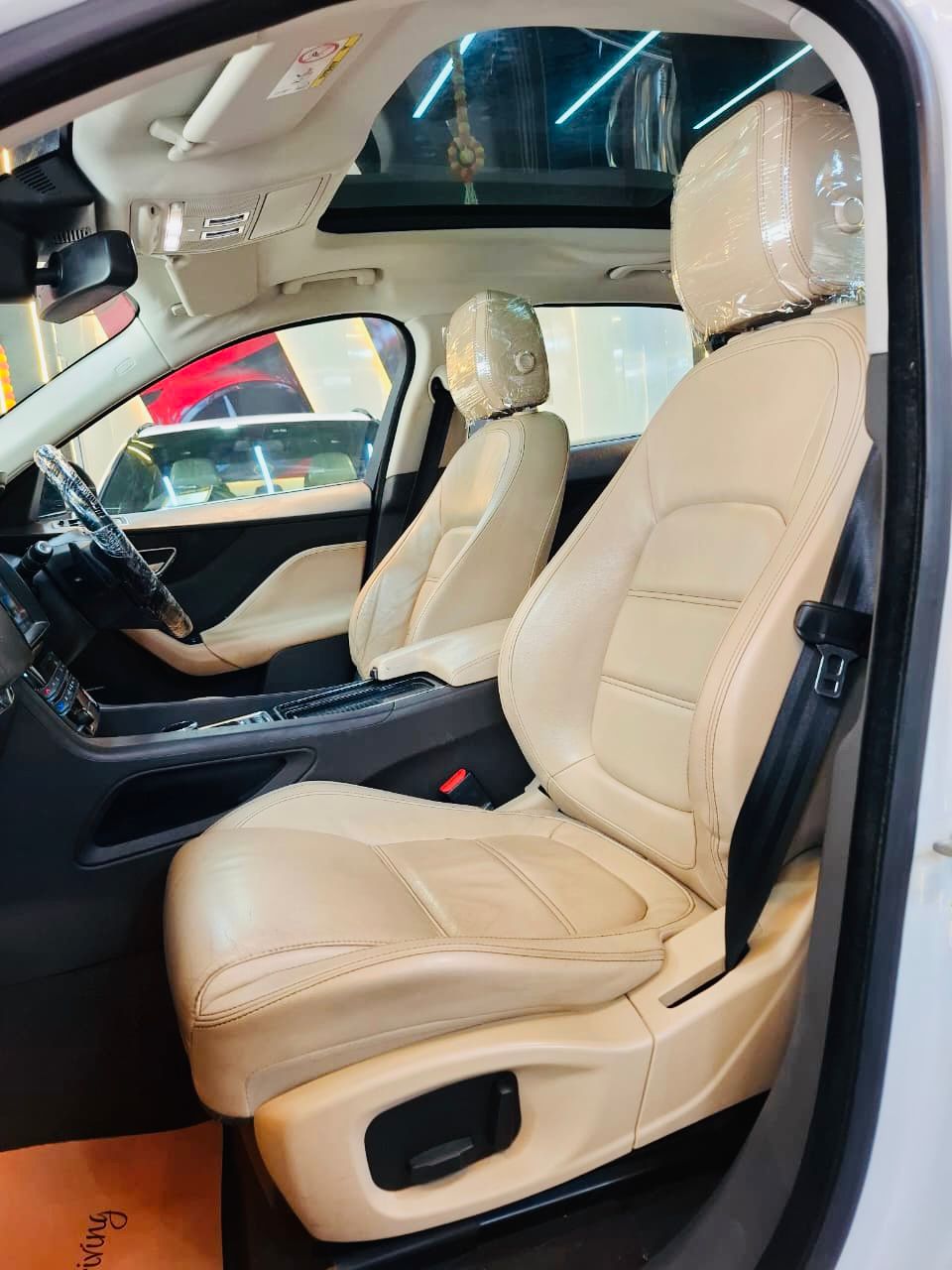 Luxury Cars