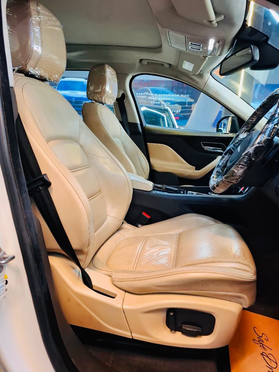 Luxury Cars