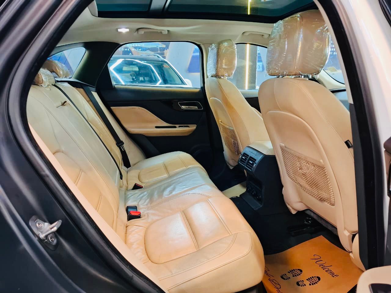 Luxury Cars