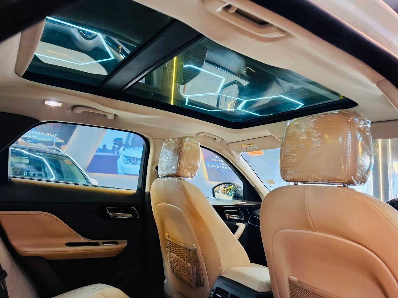 Luxury Cars