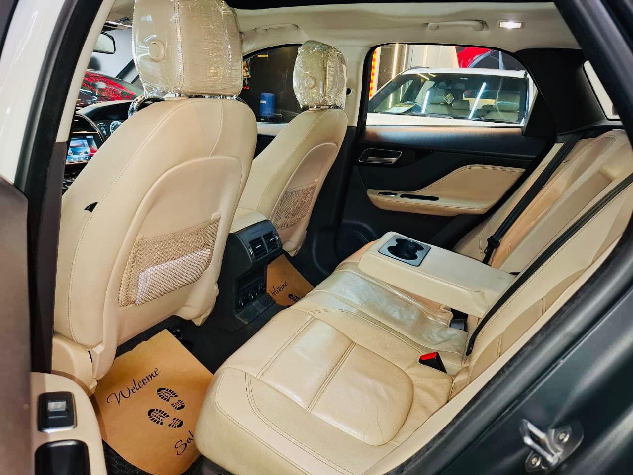 Luxury Cars