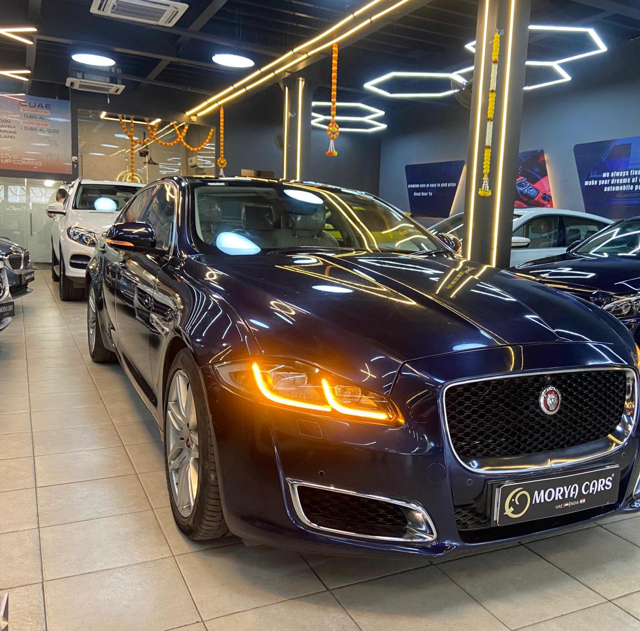 Luxury Cars